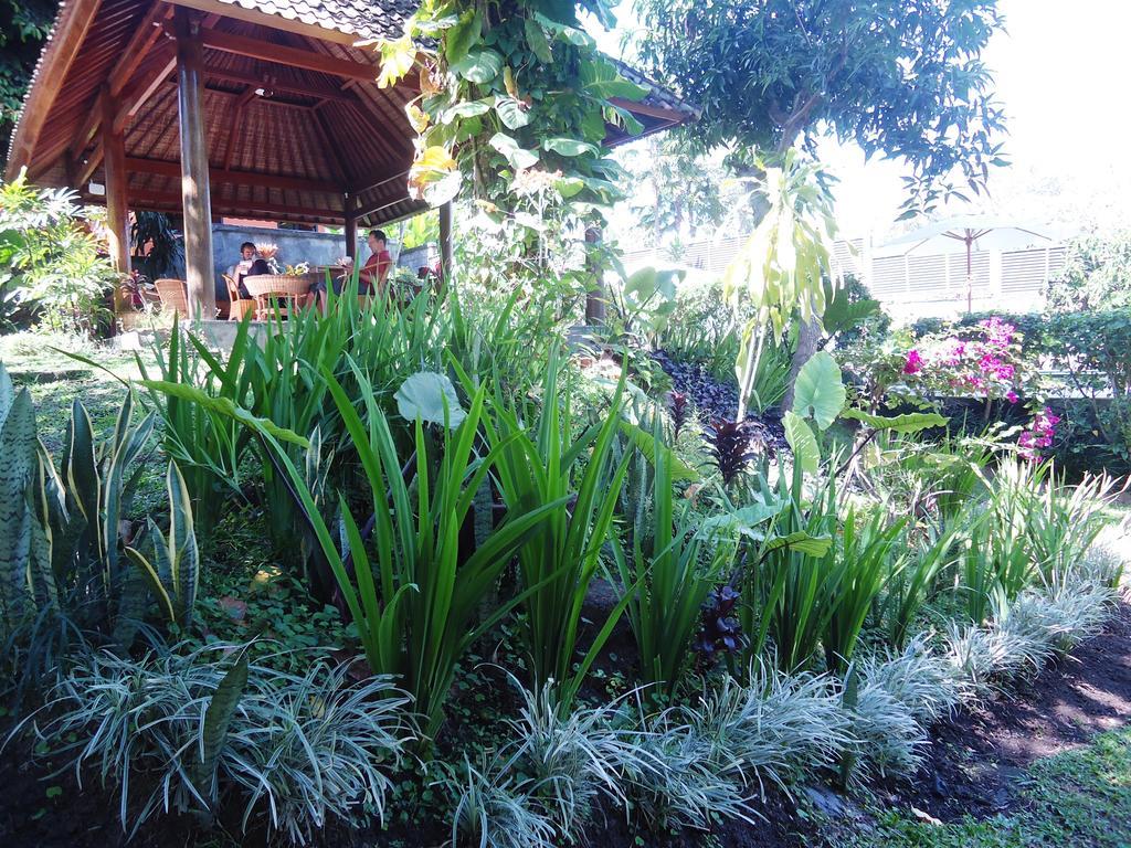 Argasoka Bungalows Ubud Exterior foto