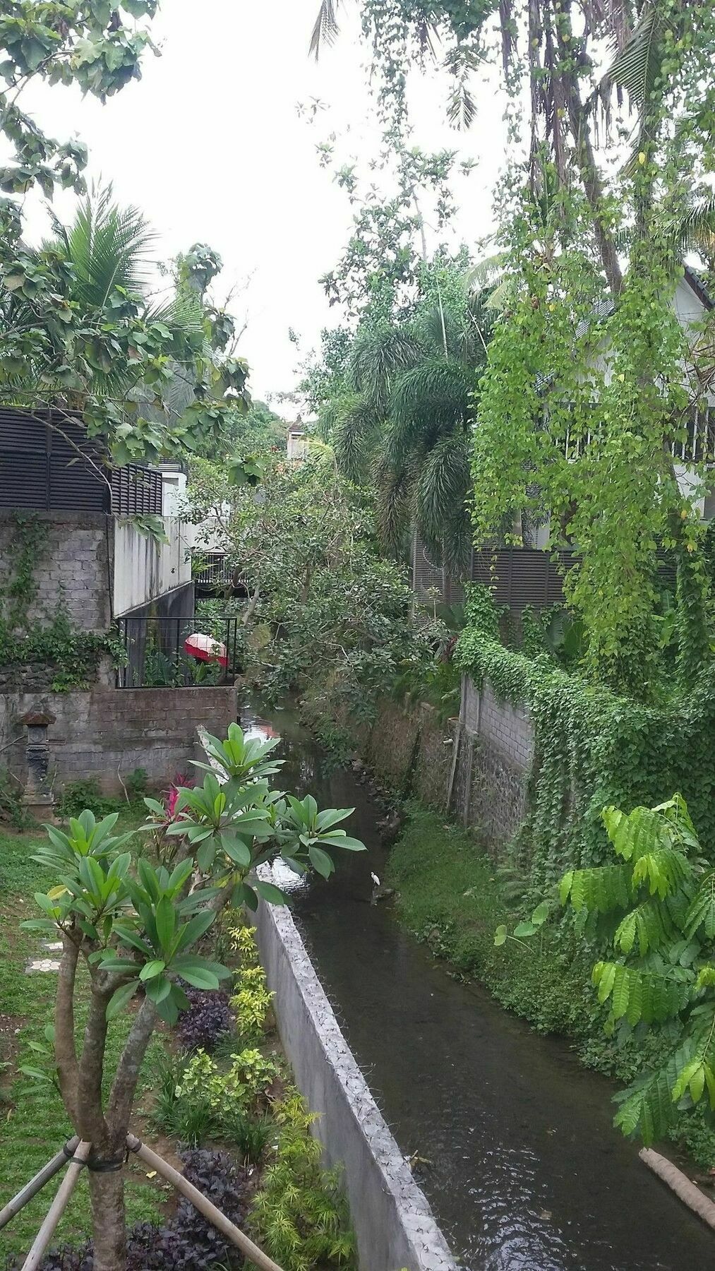 Argasoka Bungalows Ubud Exterior foto